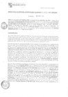 Vista preliminar de documento rgsc212874