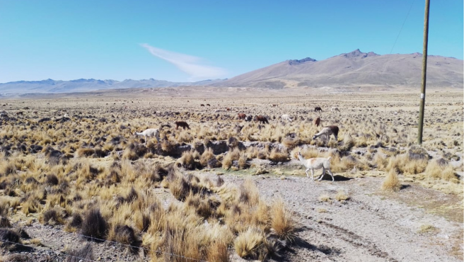 sierra sur