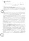 Vista preliminar de documento rgsc212963