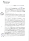 Vista preliminar de documento rgsc213256
