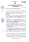 Vista preliminar de documento RGM-267-2024