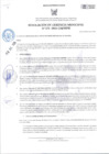 Vista preliminar de documento RGM-272-2024