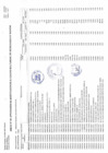 Vista preliminar de documento ANEXO N°06: APROBACIÓN DE MODIFICACIONES AL CUADRO MULTIANUAL DE NECESIDADES N°00000049