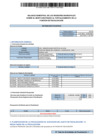 Vista preliminar de documento BALANCE SEMESTRAL DE LOS REGIDORES MUNICIPALES