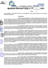 Vista preliminar de documento Resolucion Directoral N° 004207-2024