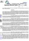 Vista preliminar de documento Resolucion Directoral N° 004209-2024