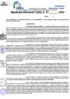 Vista preliminar de documento Resolucion Directoral N° 004211-2024