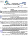 Vista preliminar de documento Resolucion Directoral N° 004216-2024