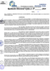 Vista preliminar de documento Resolucion Directoral N° 004218-2024