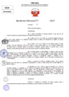 Vista preliminar de documento Resolucion Directoral N° 004222-2024
