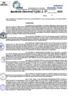 Vista preliminar de documento Resolucion Directoral N° 004225-2024