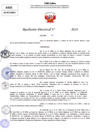 Vista preliminar de documento Resolucion Directoral N° 004227-2024