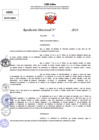 Vista preliminar de documento Resolucion Directoral N° 004228-2024