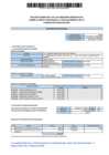 Vista preliminar de documento Balance Semestral de los Regidores Municipales - Camanti - Quincemil