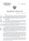 Vista preliminar de documento RD_N_095-2023-DG-HEJCU
