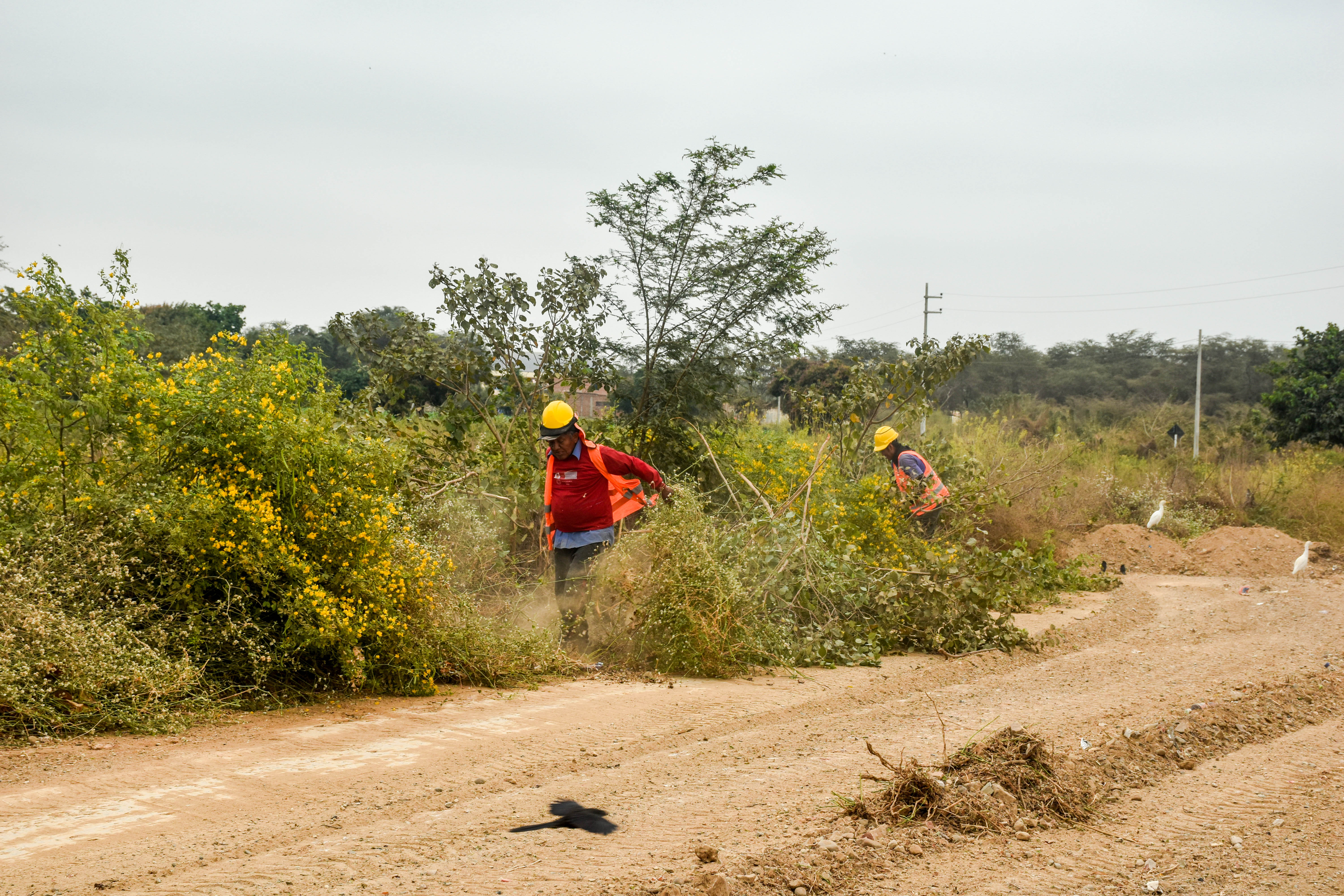 Mantenimiento de Caminos 