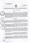 Vista preliminar de documento RD N°0091