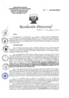 Vista preliminar de documento R.D._N109-2023-DG-HEJCU_0001