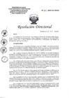 Vista preliminar de documento RD._N111-2023-DG-HEJCU_0001