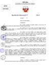 Vista preliminar de documento Resolucion Directoral N° 004236-2024