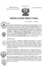 Vista preliminar de documento R.D N° 217-2024-HMA-DG