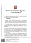 Vista preliminar de documento RDR 1010-2024-DRELM