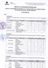 Vista preliminar de documento DIRECTIVA 40_merged