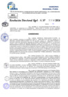 Vista preliminar de documento Resolucion Directoral N° 004239-2024
