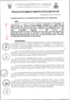 Vista preliminar de documento RG0175-2024