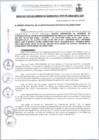 Vista preliminar de documento RG0178-2024