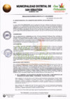 Vista preliminar de documento RGM-111-2024-MDSS