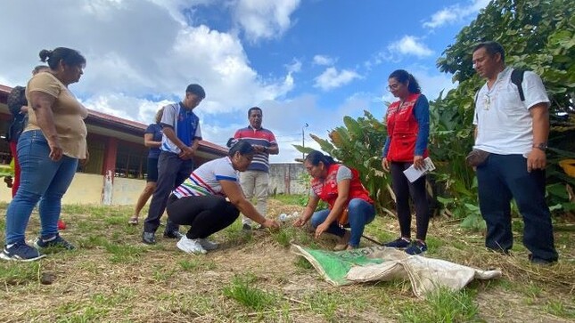 capacitación FAO