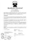 Vista preliminar de documento RD N° 141-2020-MTC/12
