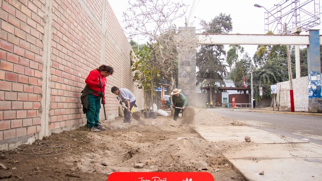 Archivo de JPG sobre una publicación del área de imagen