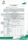 Vista preliminar de documento Resolución de Gerencia Municipal N° 0381-2024-GM-MDM