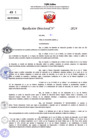 Vista preliminar de documento Resolucion Directoral N° 004257-2024