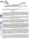 Vista preliminar de documento Resolucion Directoral N° 004265-2024