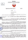 Vista preliminar de documento Resolucion Directoral N° 004266-2024