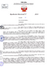 Vista preliminar de documento Resolucion Directoral N° 004277-2024