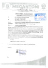 Vista preliminar de documento MEMORANDUM N°1131-2024-MDM-OGA-SYLLM