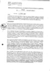 Vista preliminar de documento rgpet21042