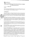 Vista preliminar de documento rgpet21055