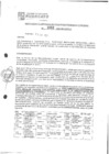 Vista preliminar de documento rgpet21062
