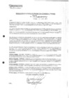 Vista preliminar de documento rgpeyt2100203