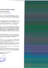 Vista preliminar de documento rgpet21002216