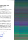 Vista preliminar de documento rgpet21001332