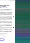 Vista preliminar de documento rgpet21002299