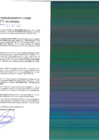 Vista preliminar de documento rgpet21002306