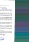 Vista preliminar de documento rgpet21002348