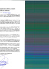 Vista preliminar de documento rgpet21002350
